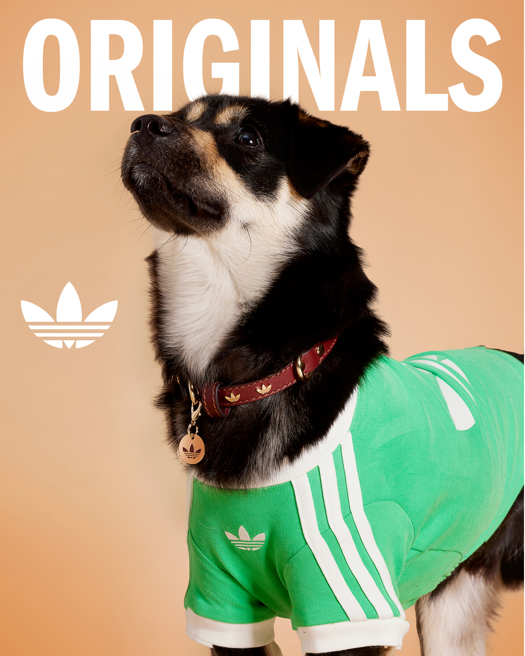 adidas Facebook ad