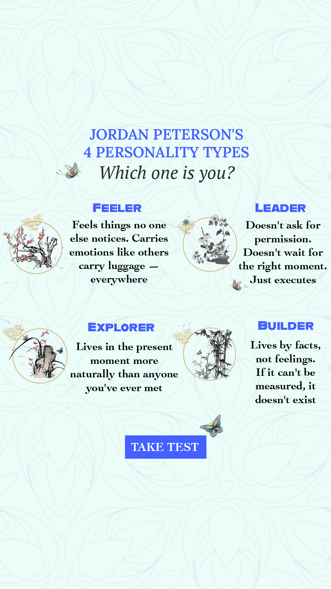 Personality Type Facebook ad