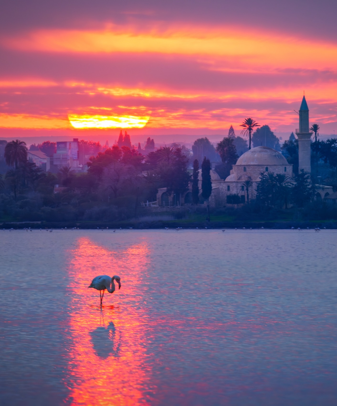 Cyprus Info Facebook ad: Larnaca Salt Lake