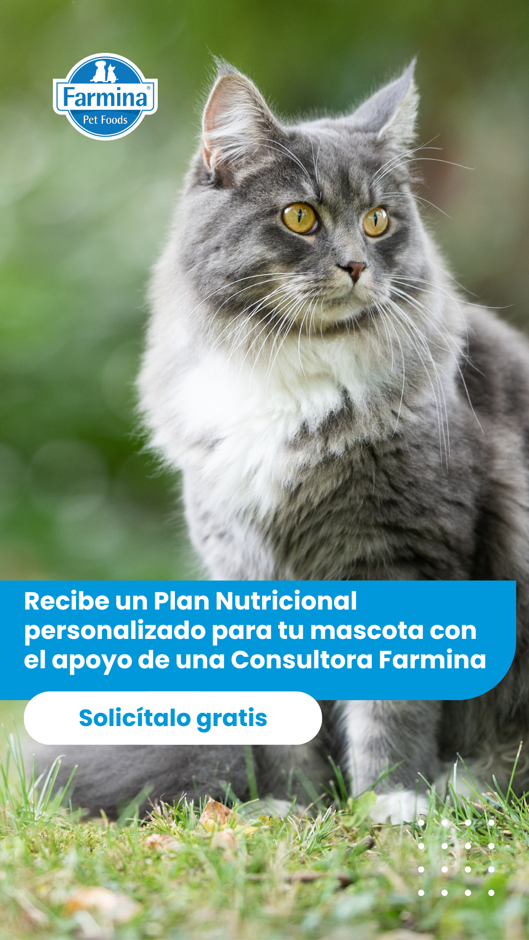 Farmina Colombia Facebook ad from Jun 11, 2025