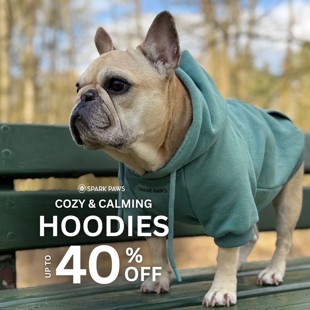 Spark Paws Facebook ad