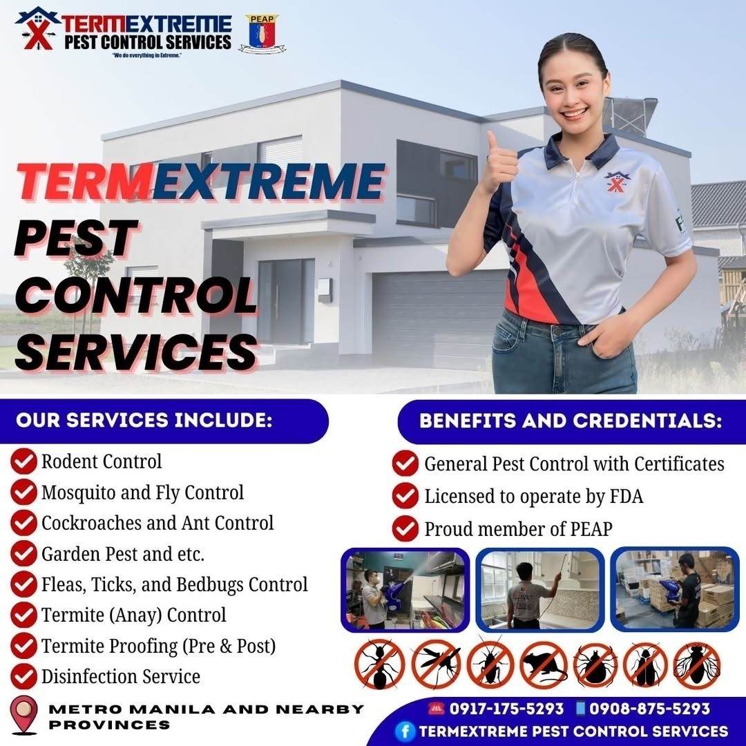 Termextreme Pest Control Services Facebook ad: Chat on Messenger