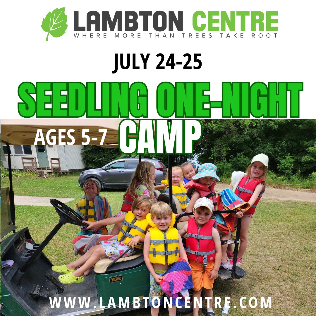 Lambton Centre Summer Camp Facebook ad: Camp spaces are still available for this summer.
