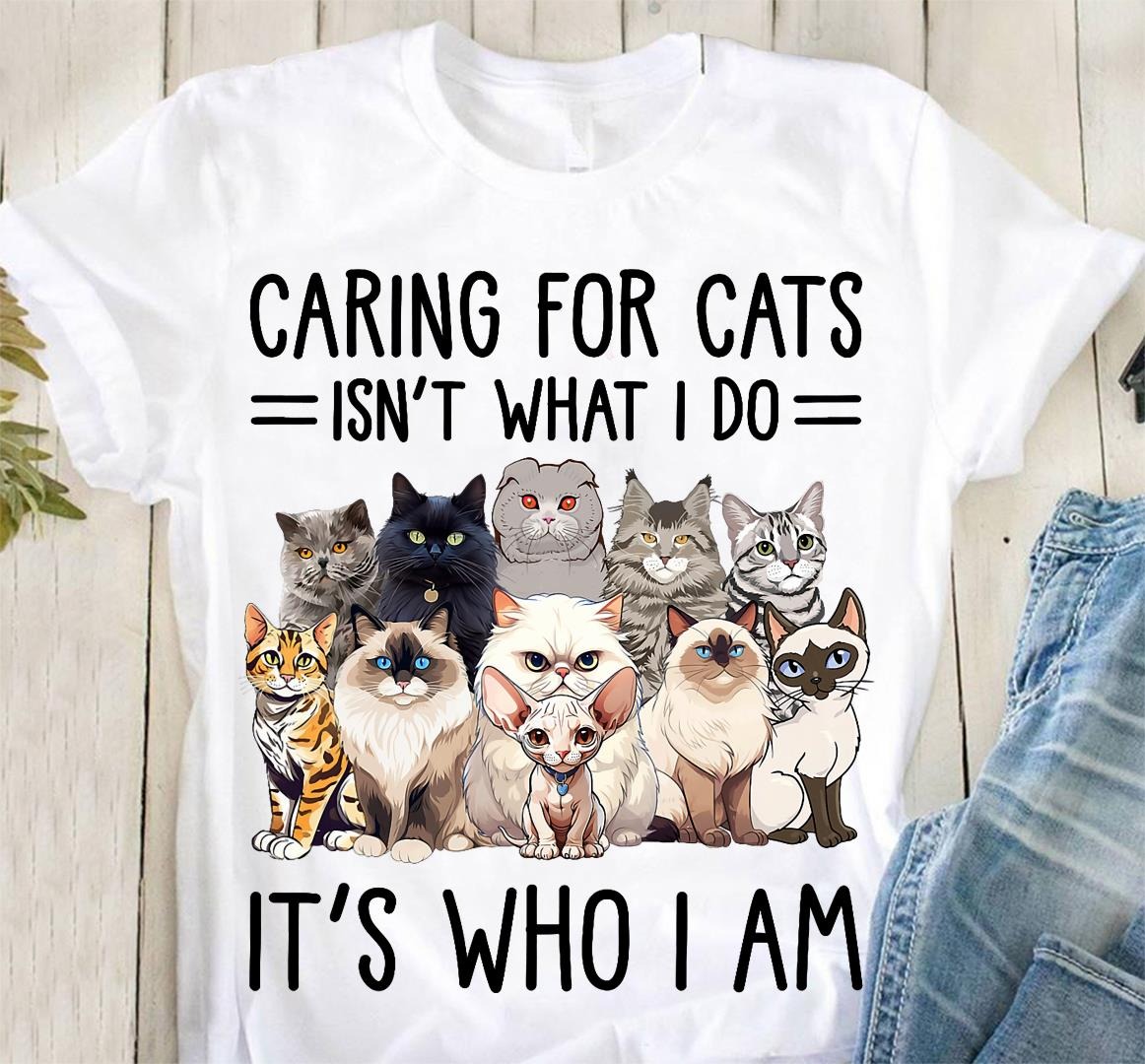 Cat Lover Facebook ad