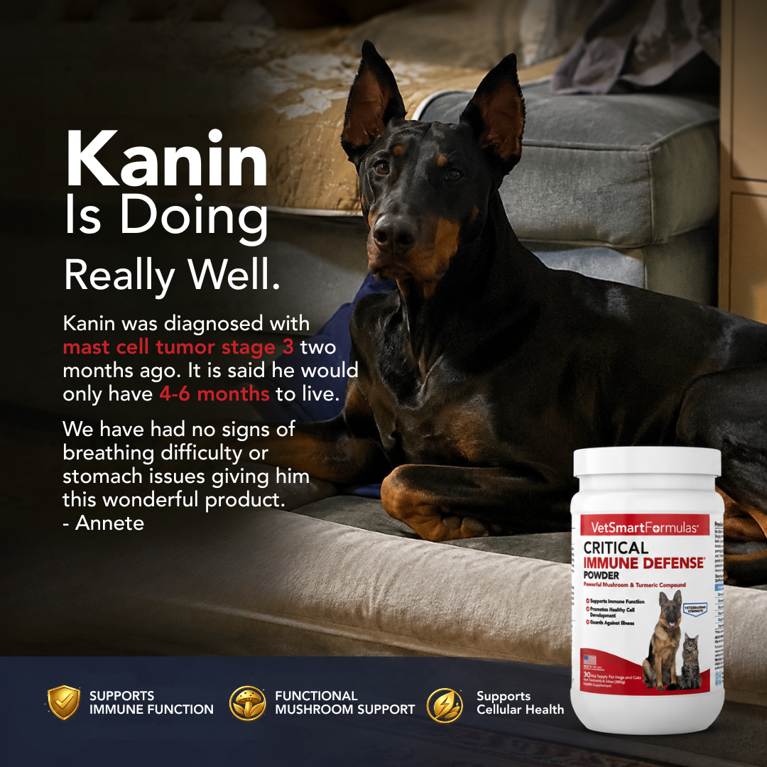 Pet Wellness Direct Facebook ad