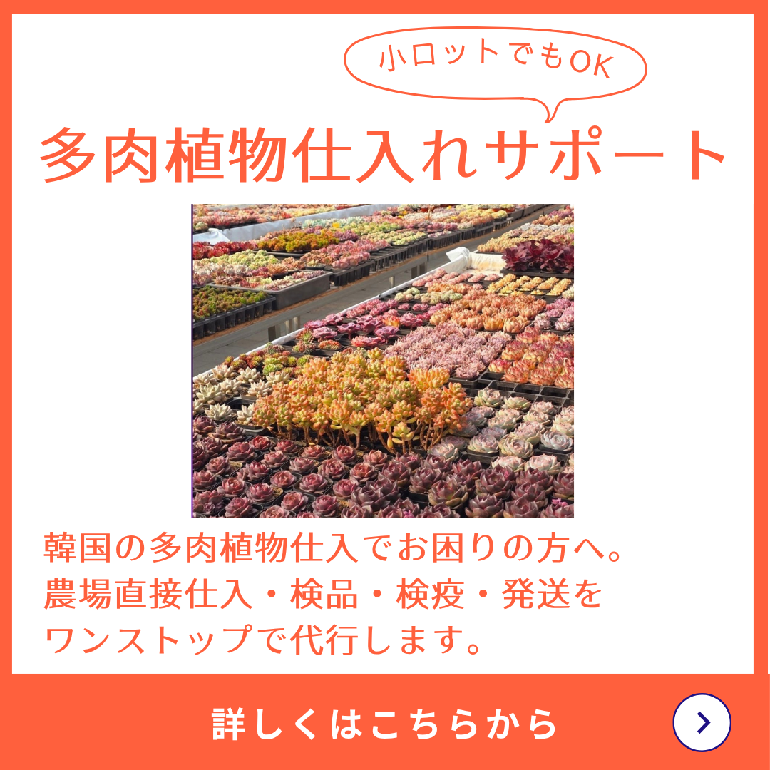 韓国現地ビジネス通訳、仕入れ コリアサポート Facebook ad: 韓国での多肉植物の仕入サポート