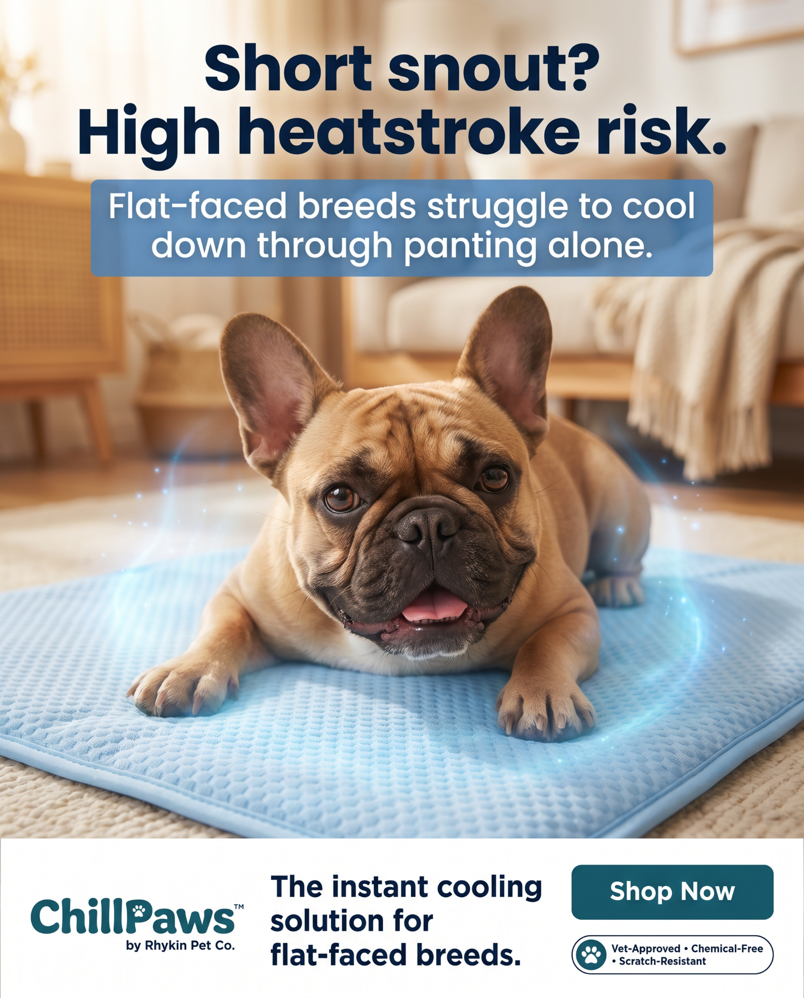 Rhykin Pet Co Facebook ad