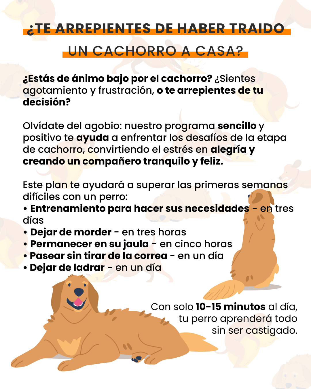 EveryDoggy: Dog Training app Facebook ad