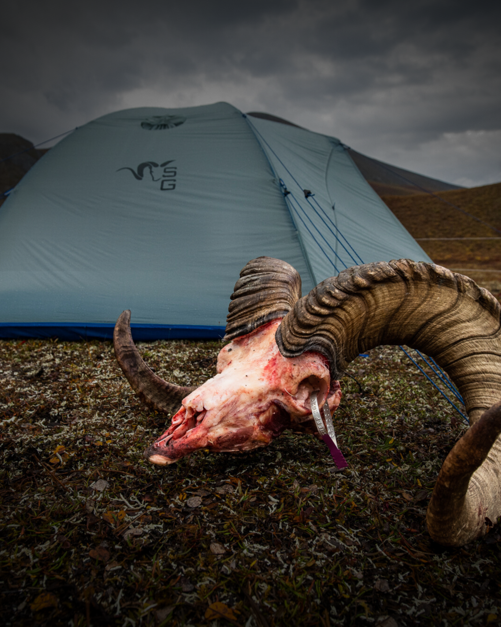 Gear Fool Facebook ad: Last Chance: Stone Glacier 25% Off