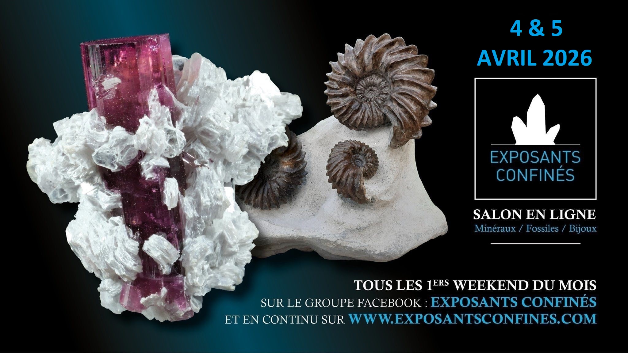 Exposants confinés Facebook ad