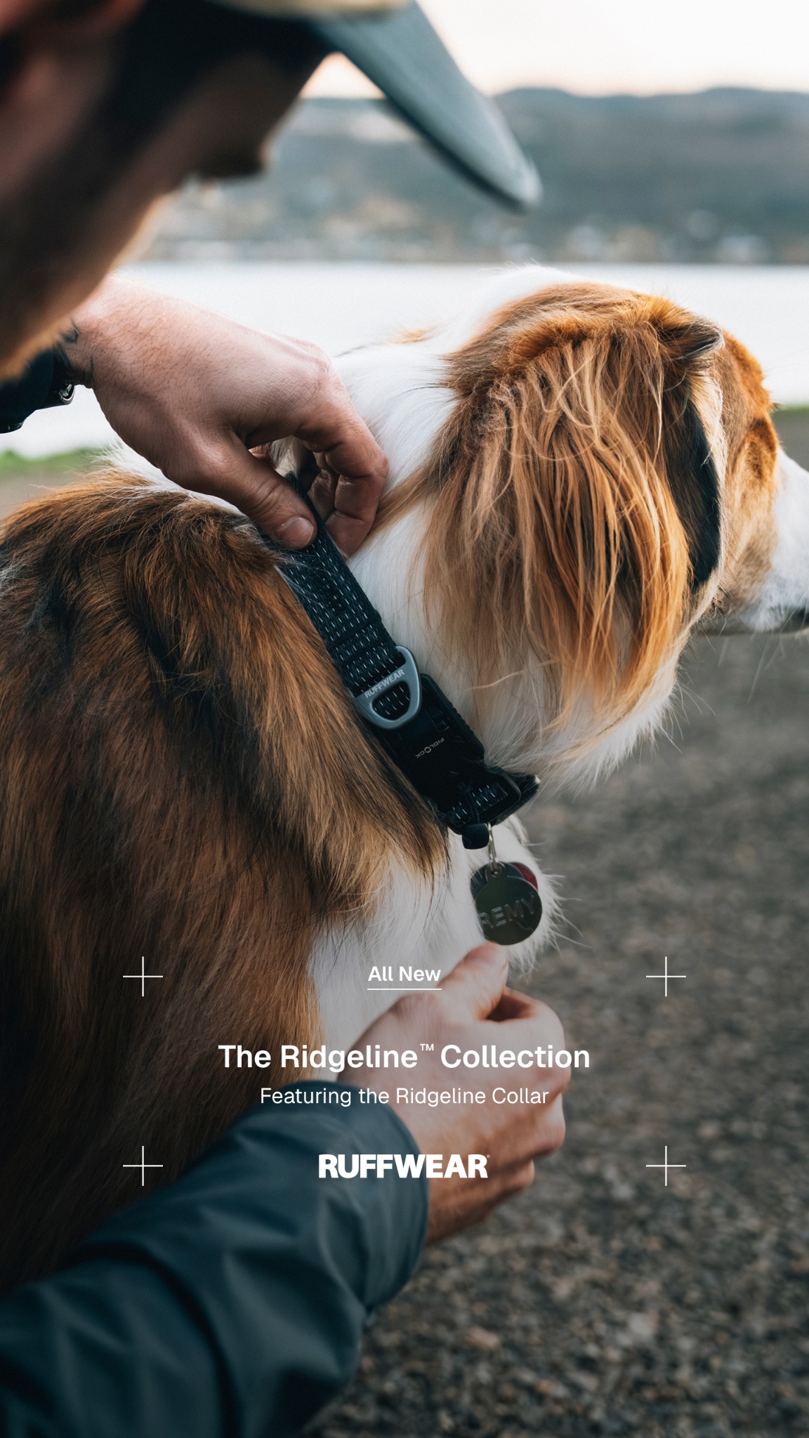 Ruffwear Facebook ad