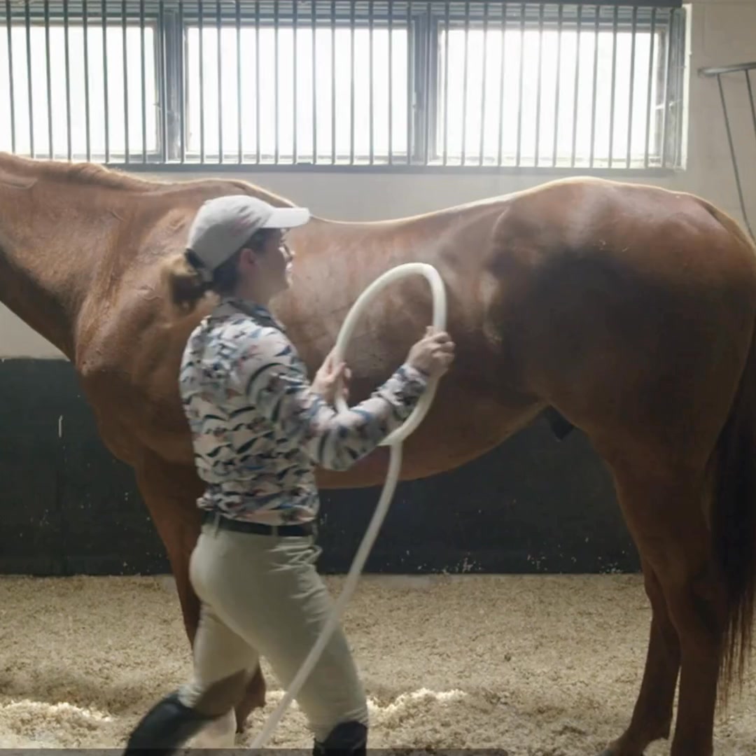 MagnaWave Corporate - Wellness and Pain Relief Facebook ad: Trusted Recovery for Horse + Rider