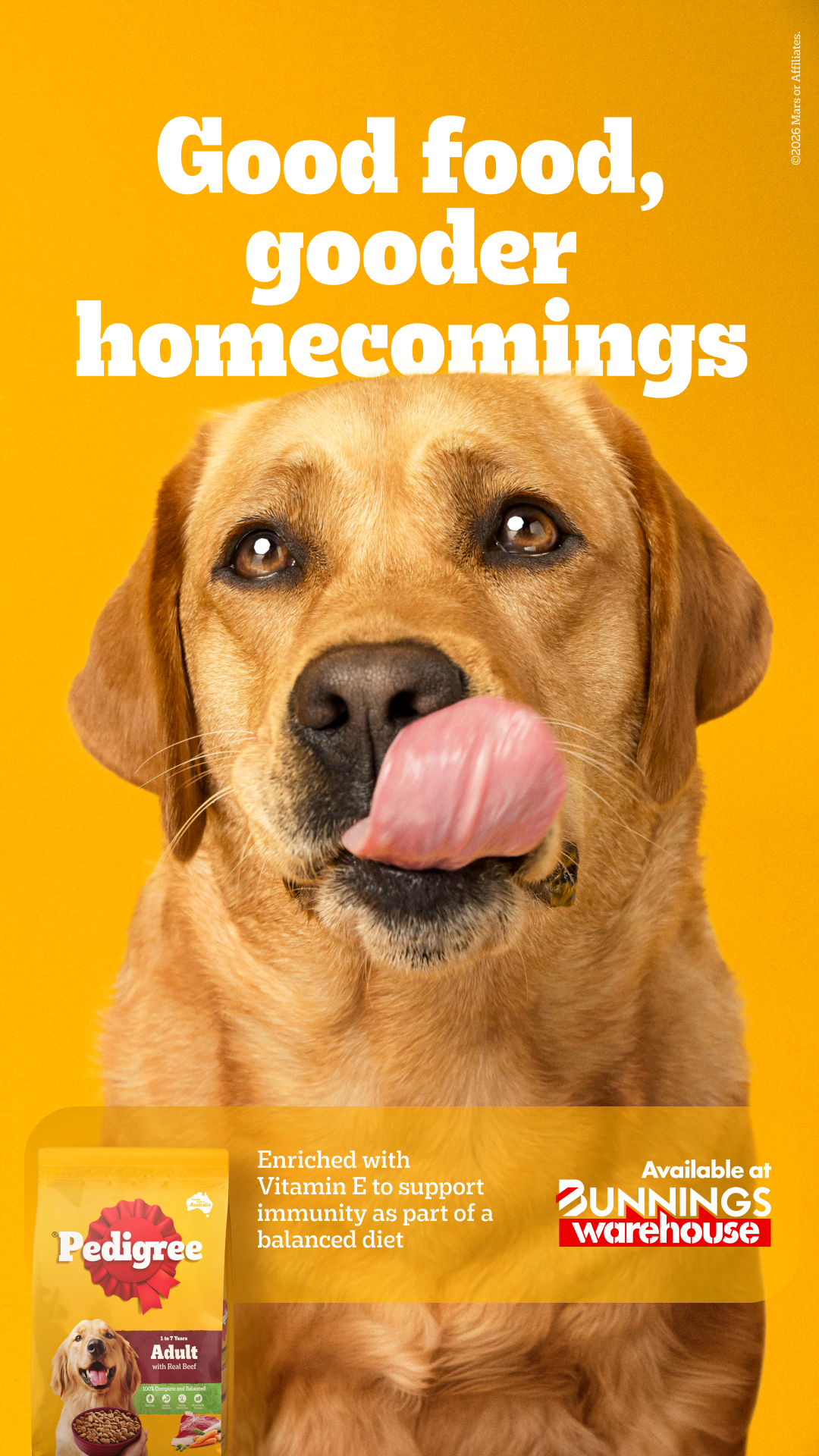 Bunnings Warehouse Australia Facebook ad
