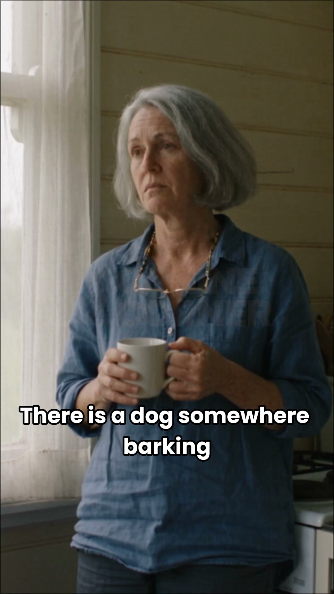Canine Corner Australia Facebook ad: Nobody's Coming to Fix the Barking