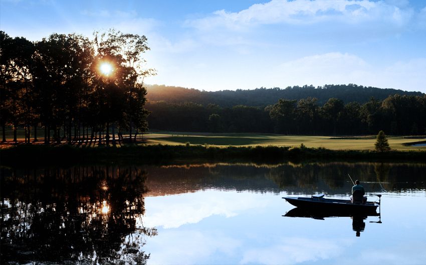 Pursell Farms Facebook ad: Book Your Orvis Session
