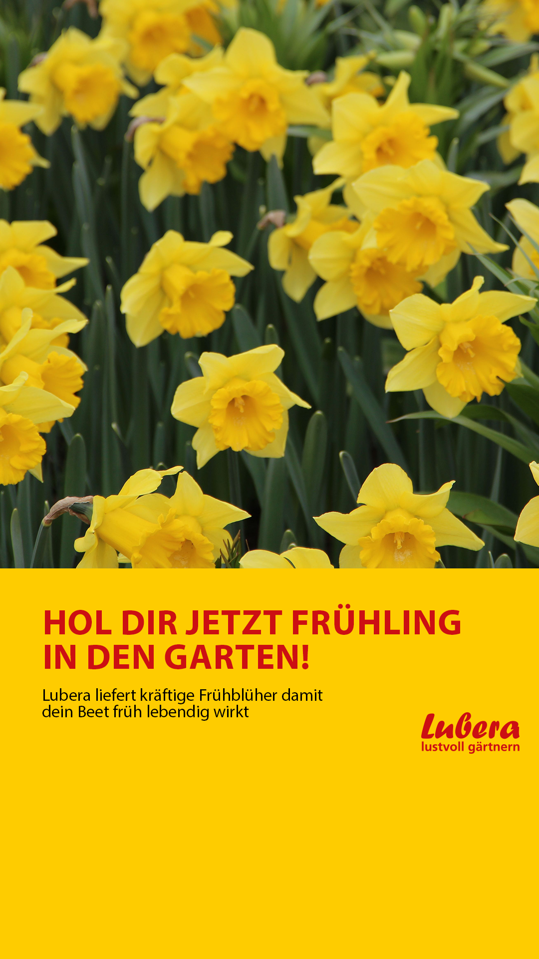 Lubera & Gartenvideo.com Facebook ad