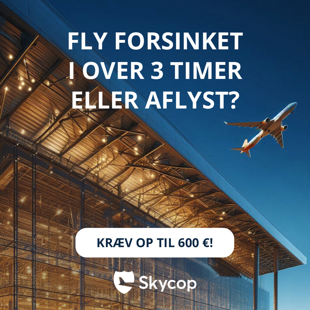 Skycop Facebook ad