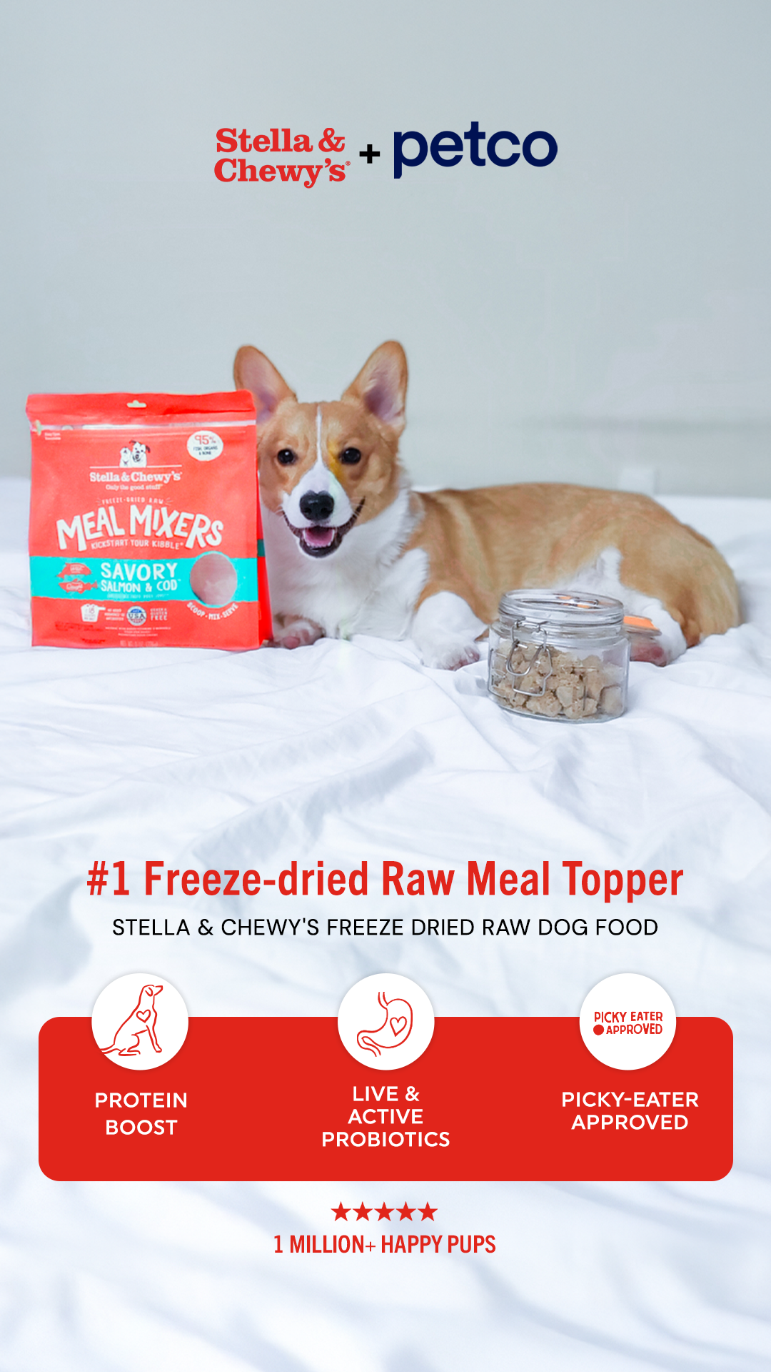 Stella & Chewy's Facebook ad