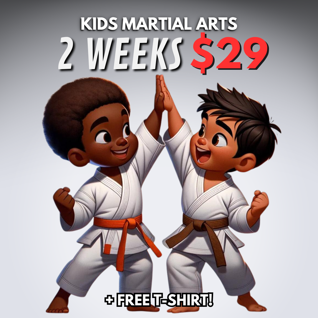 Elevate Martial Arts - Melissa Facebook ad: 2 Weeks for $29 + FREE T-shirt!