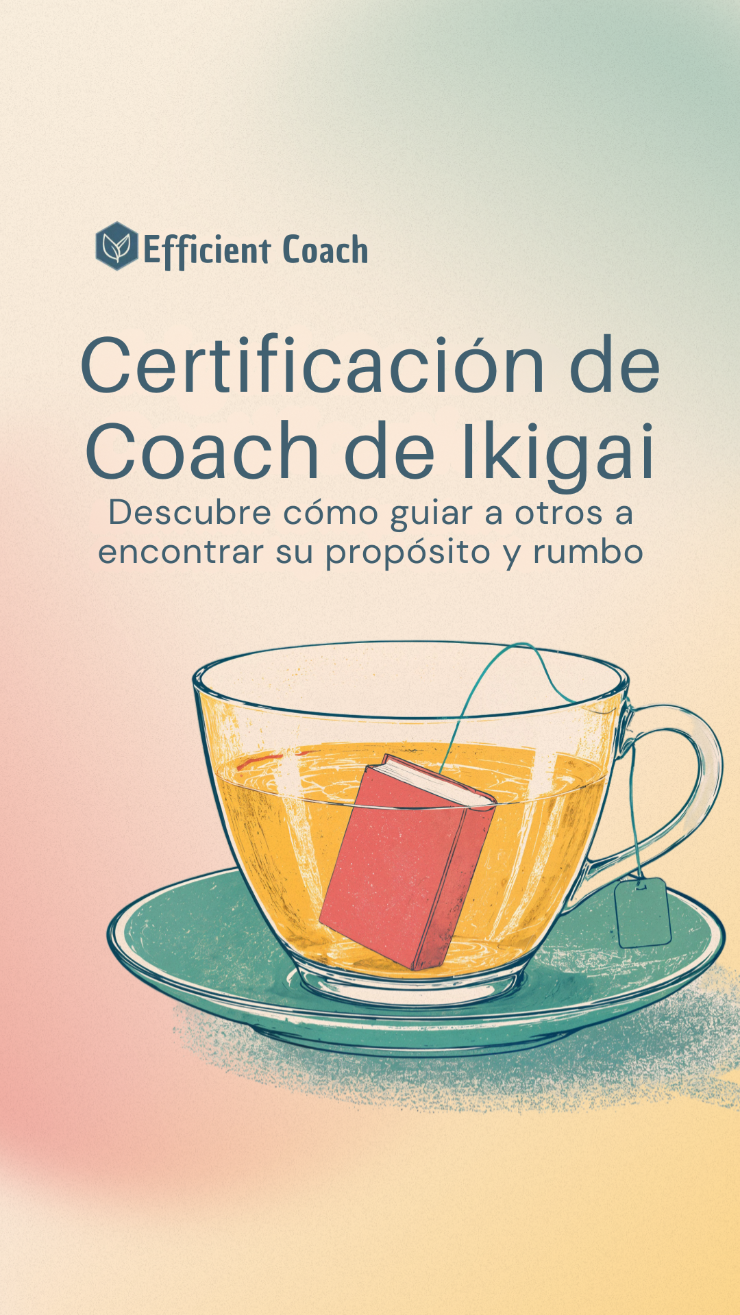 Efficient Coach Facebook ad