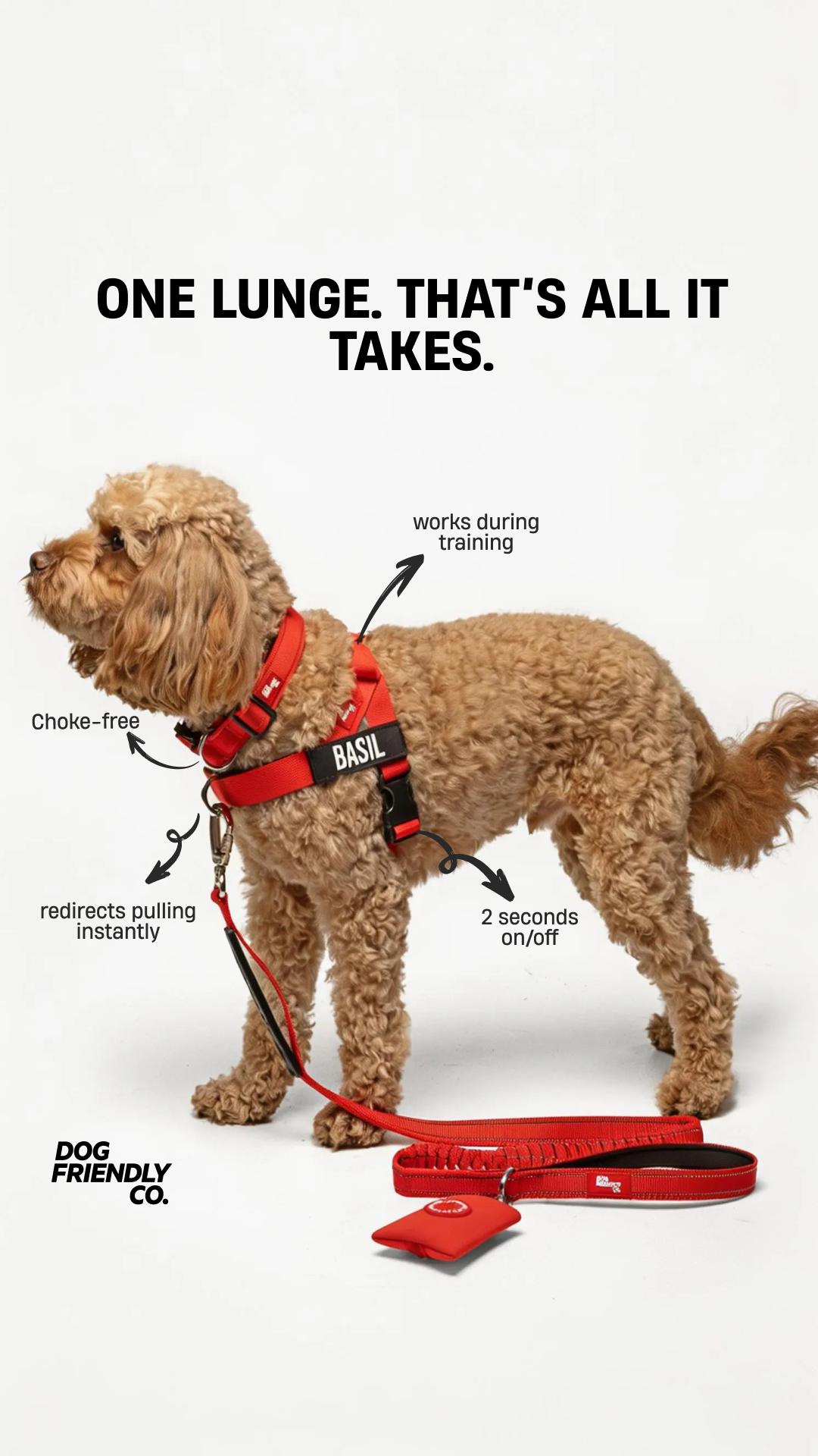 Dog Friendly Co. Facebook ad
