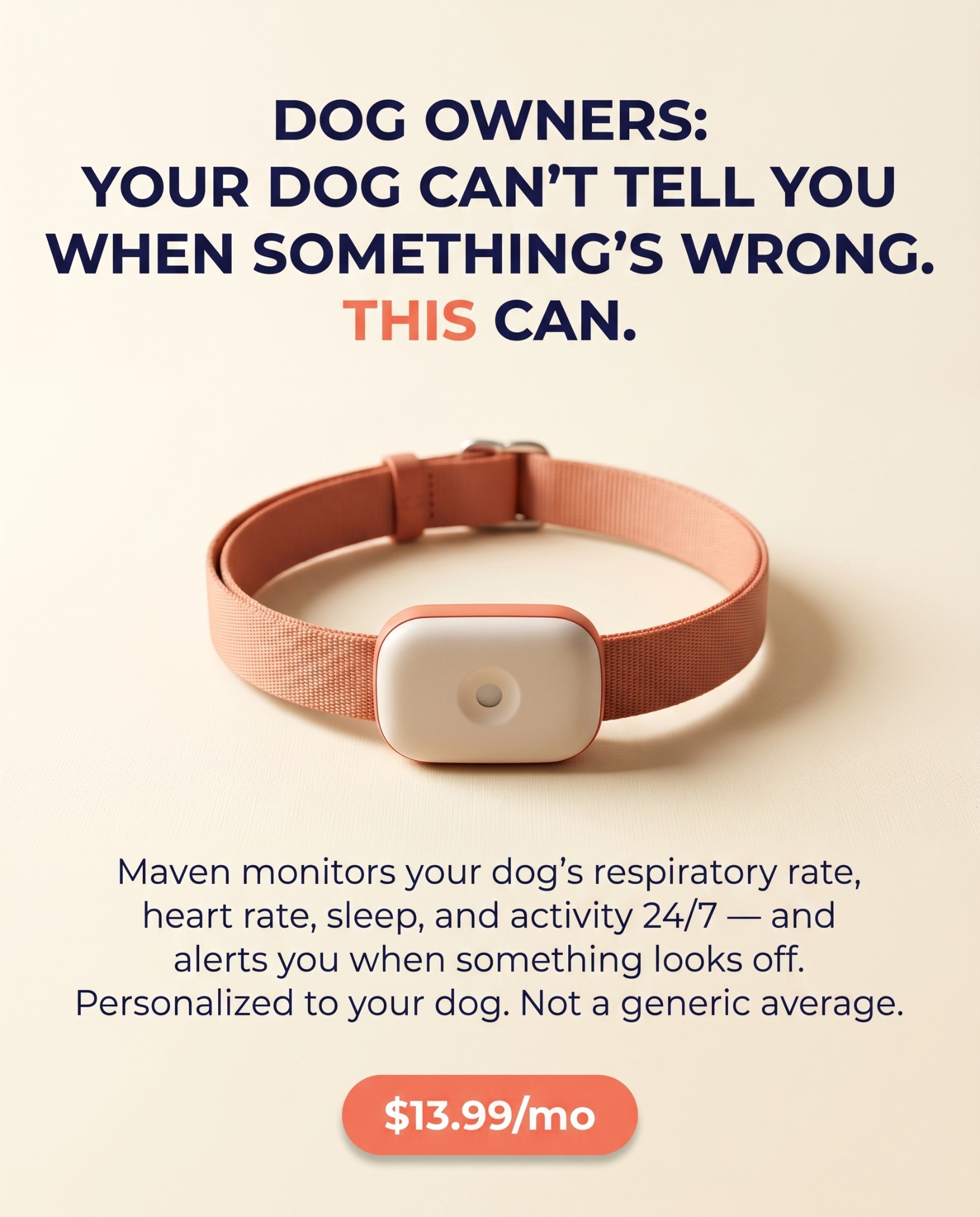 Maven Pet Facebook ad