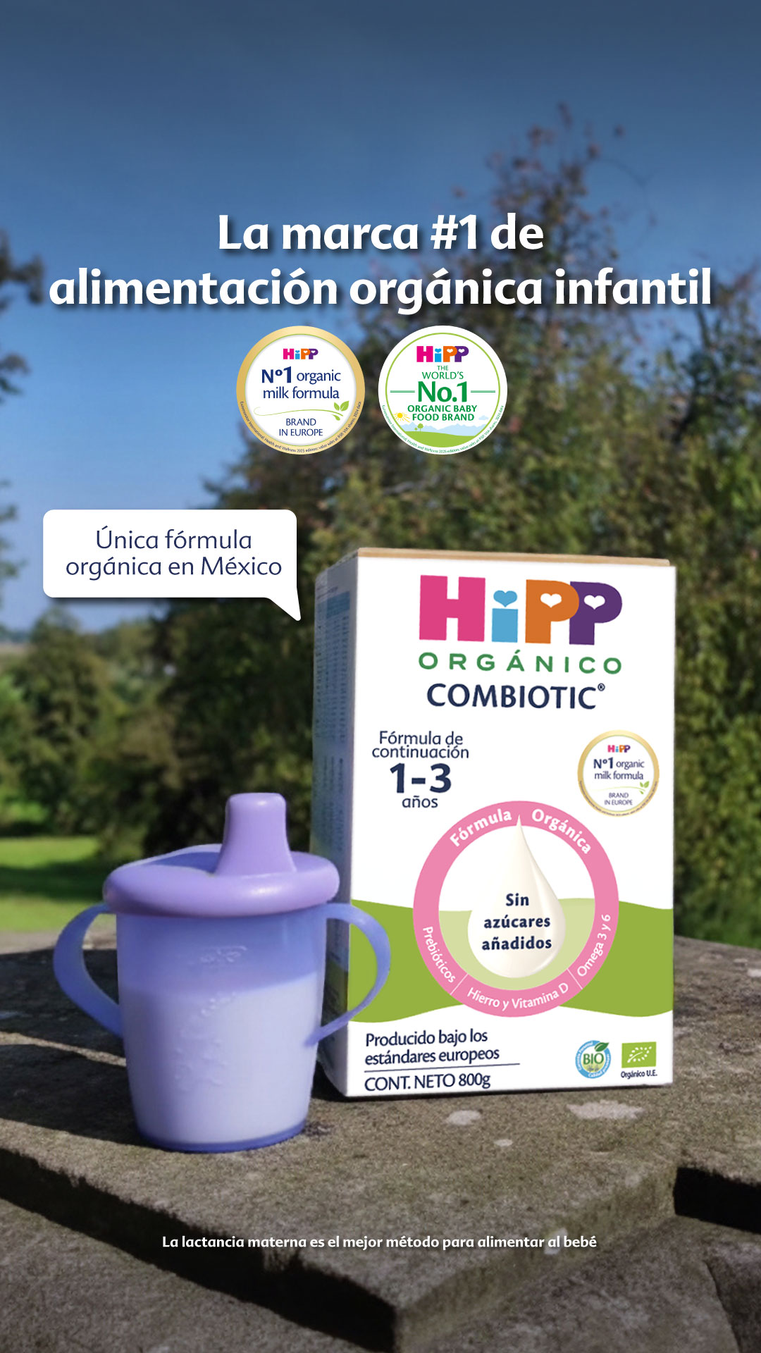 HiPP México Facebook ad