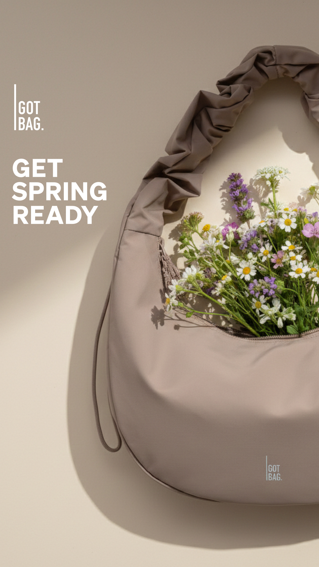 GOT BAG Facebook ad
