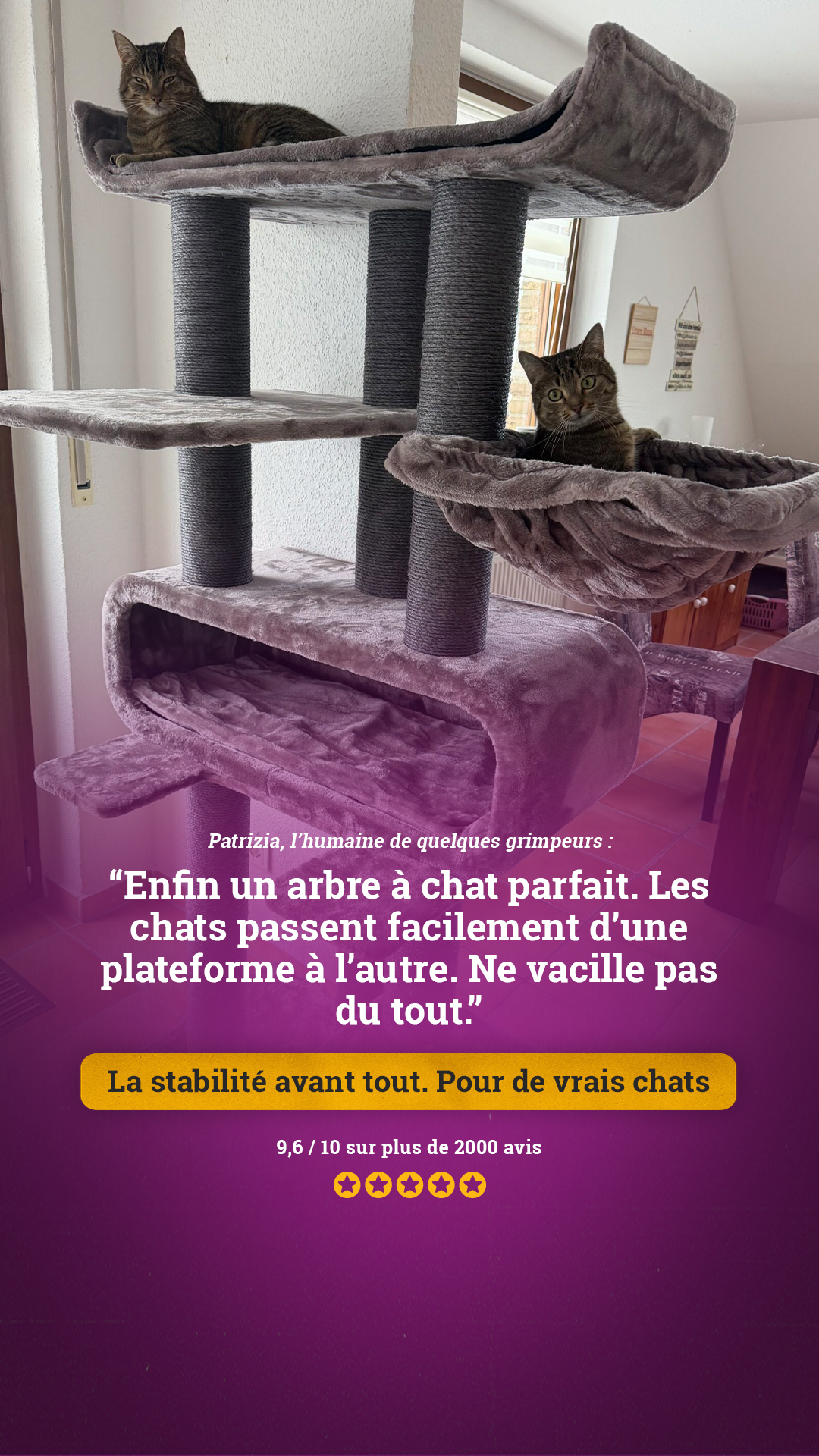 petrebels.com Facebook ad
