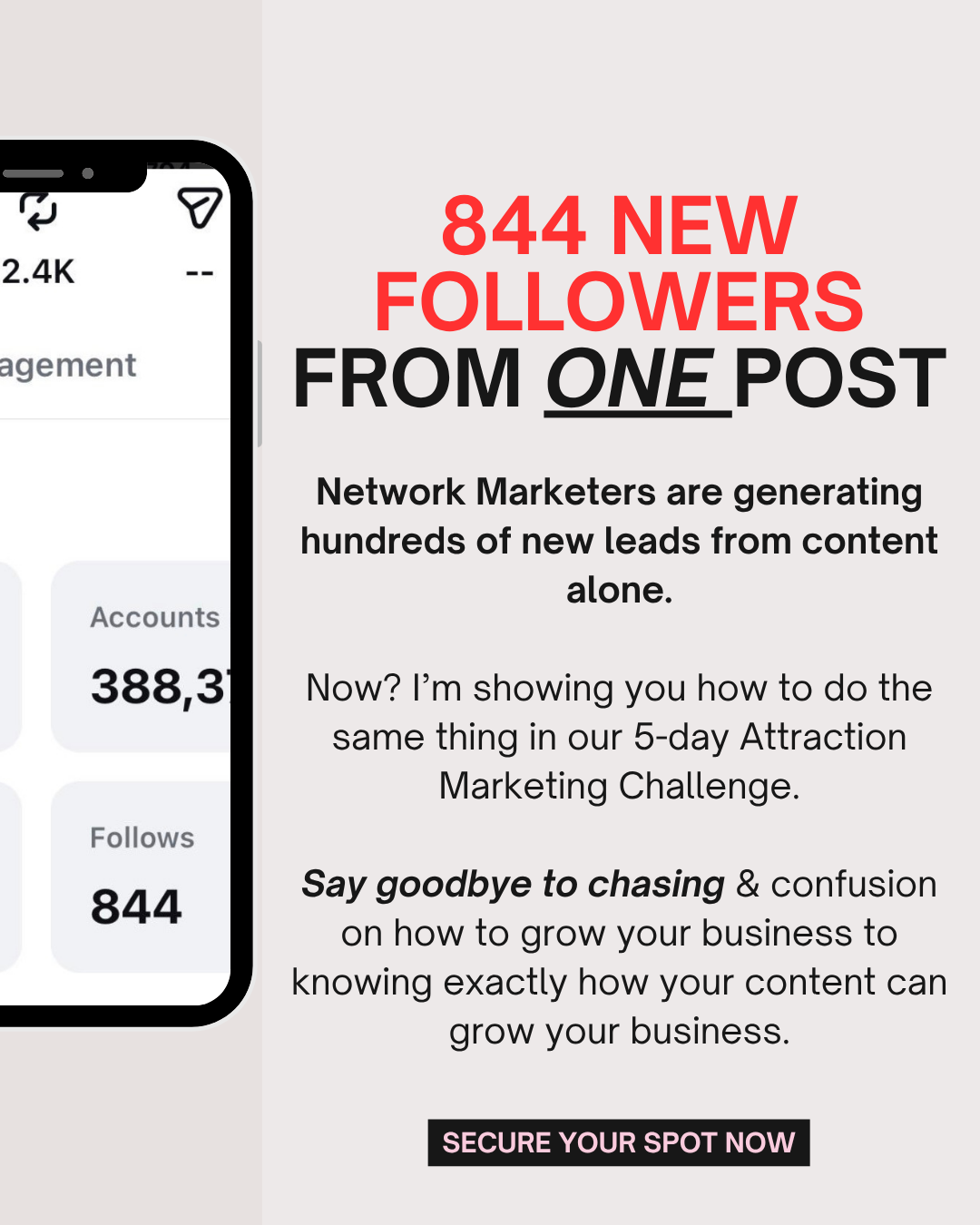 Network Marketing School Facebook ad