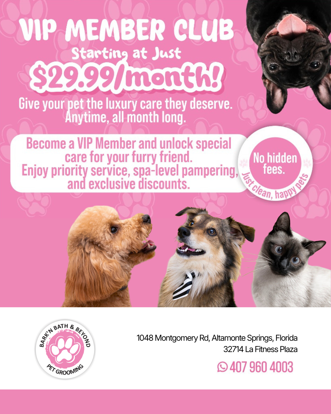 BarknBath and Beyond Facebook ad