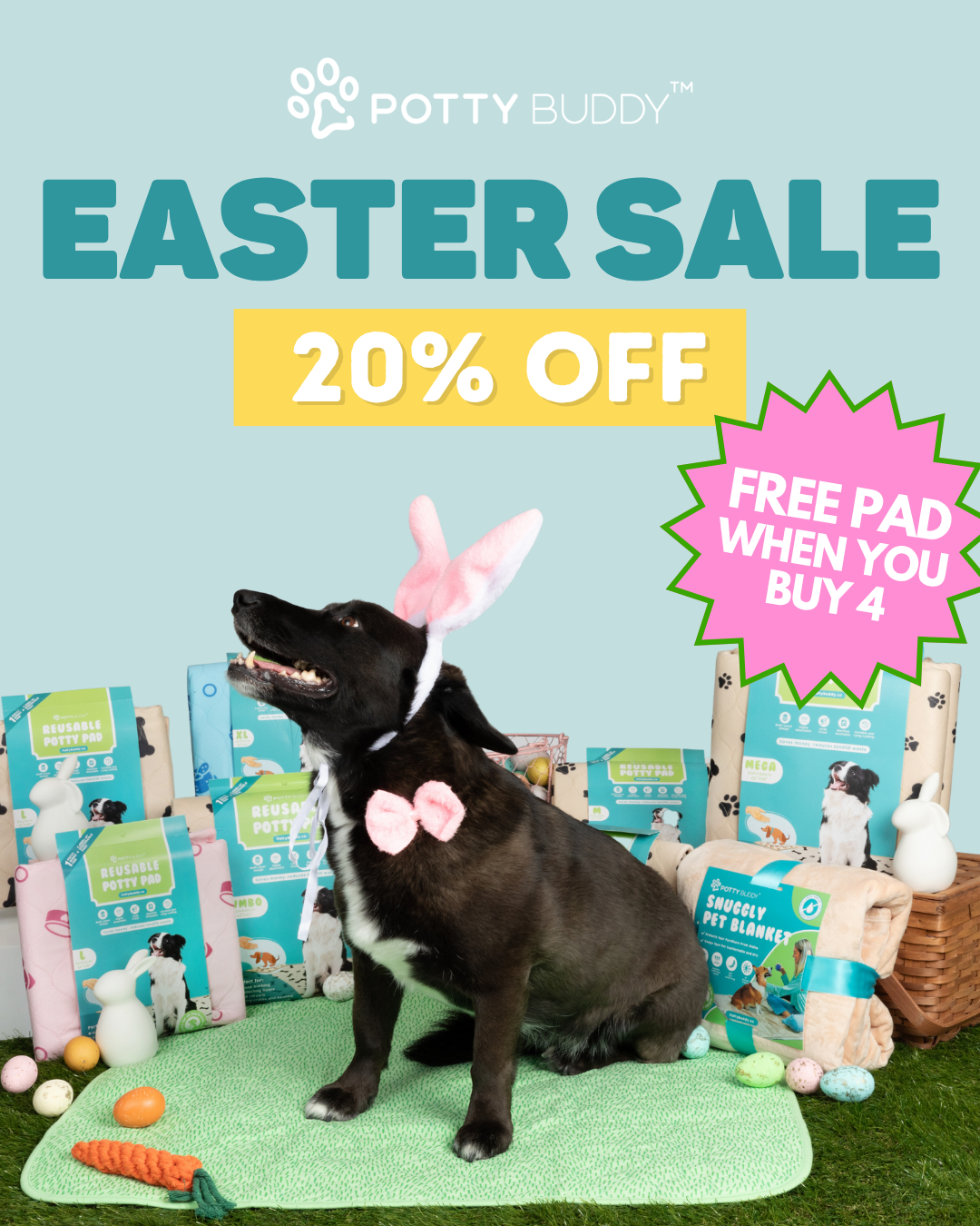 Potty Buddy Facebook ad