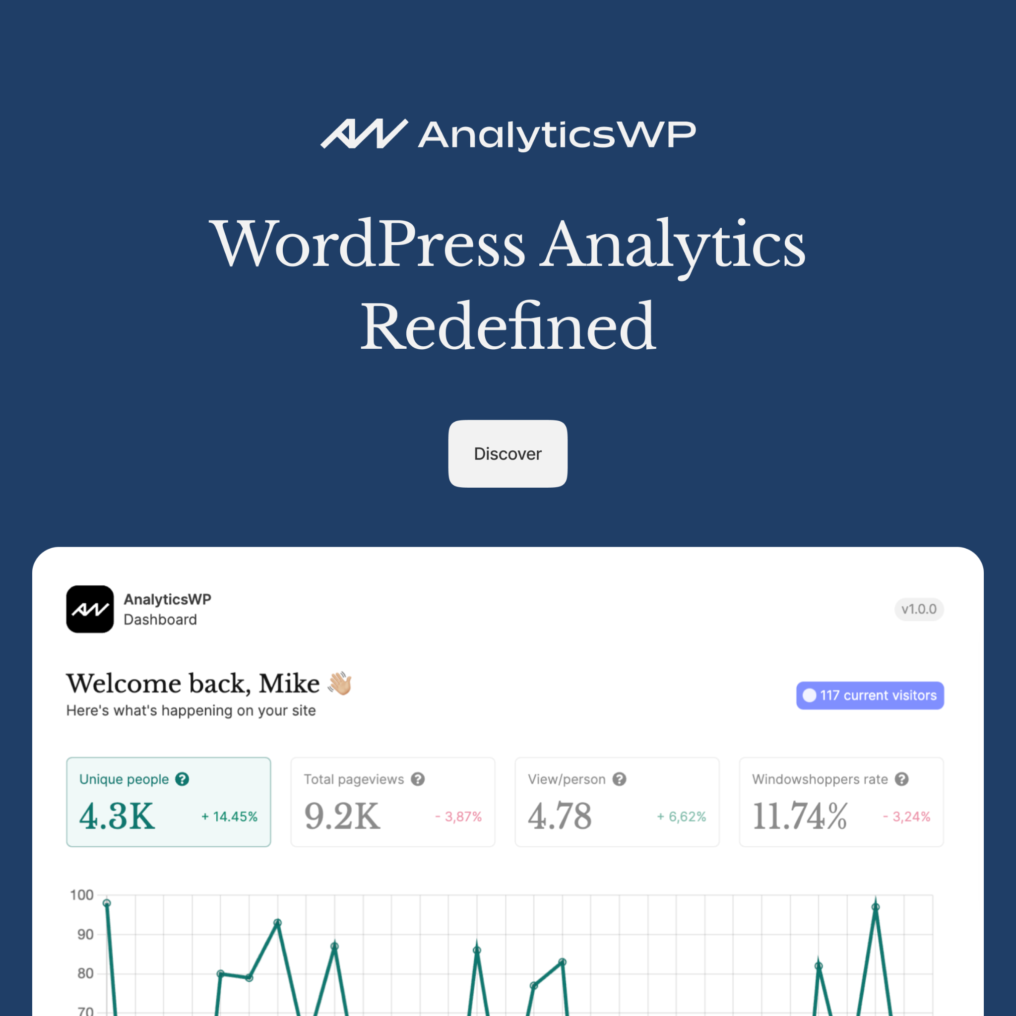Analytics WP Facebook ad