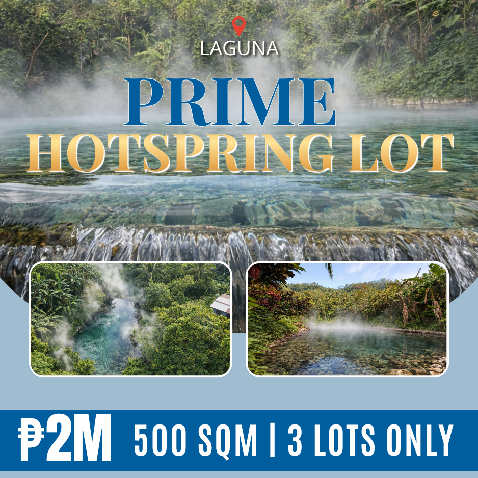 NatureSpring Investment Properties Facebook ad: Your Next Income Source Starts Here