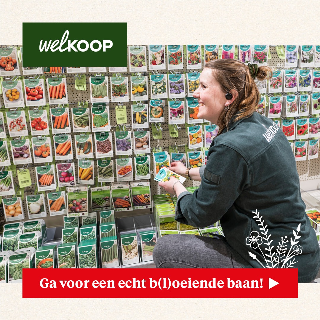 Werken Bij Welkoop Facebook ad from Feb 2, 2026