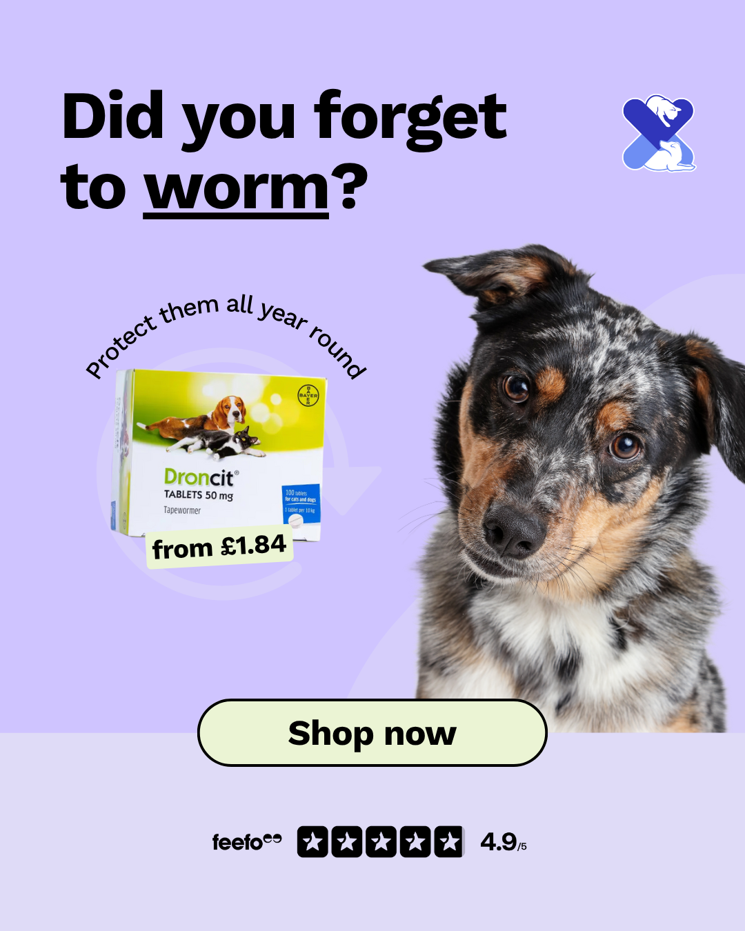 UK Pets Facebook ad from Nov 19, 2025
