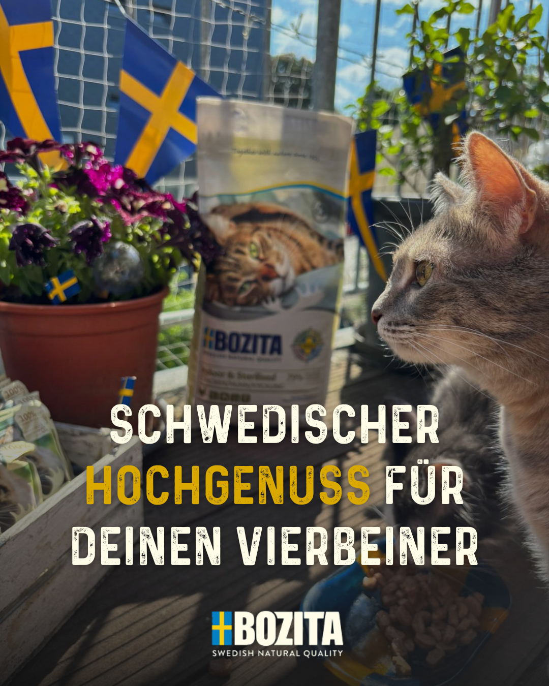 Bozita Deutschland Facebook ad