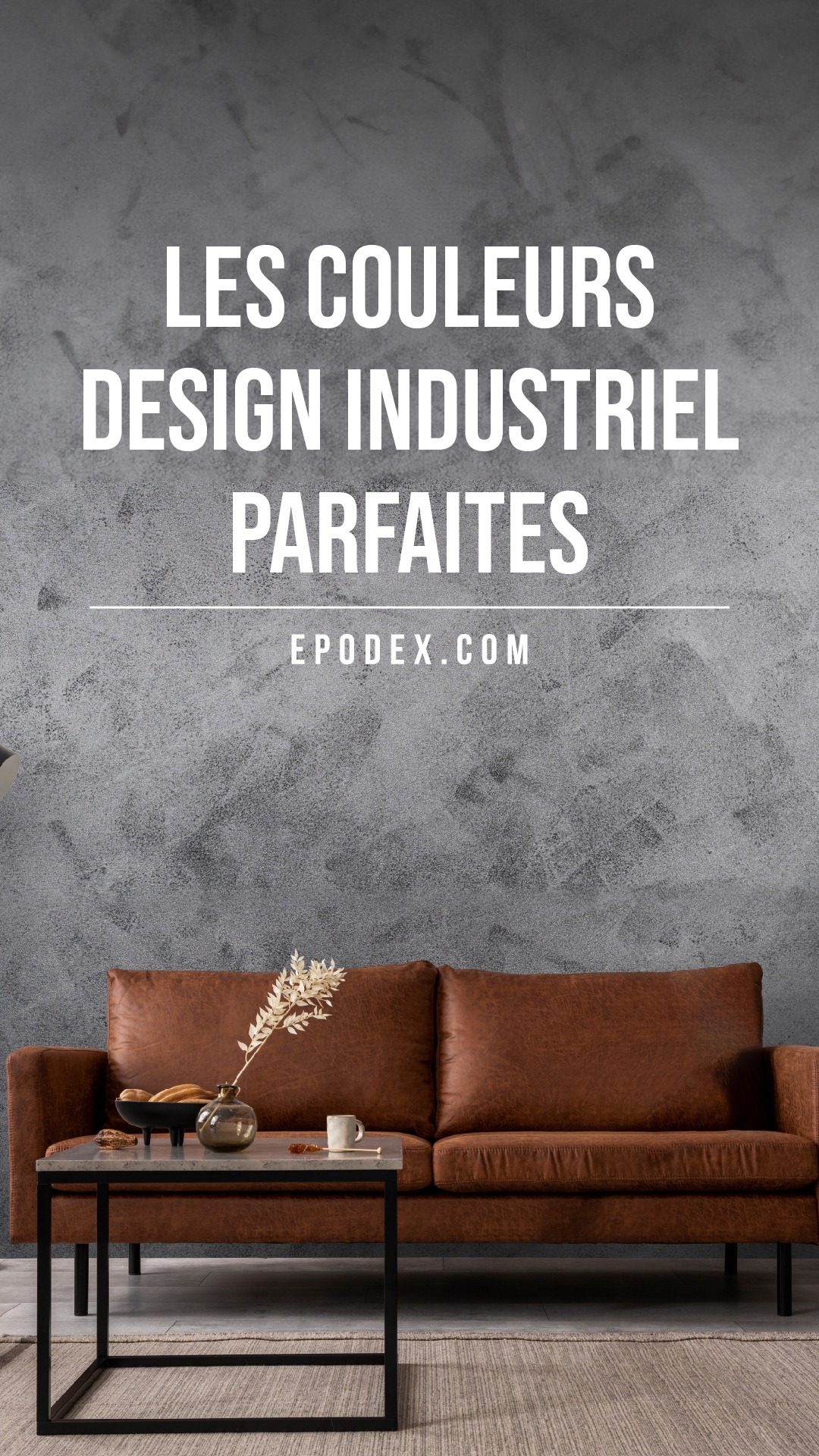 Epodex - France Facebook ad