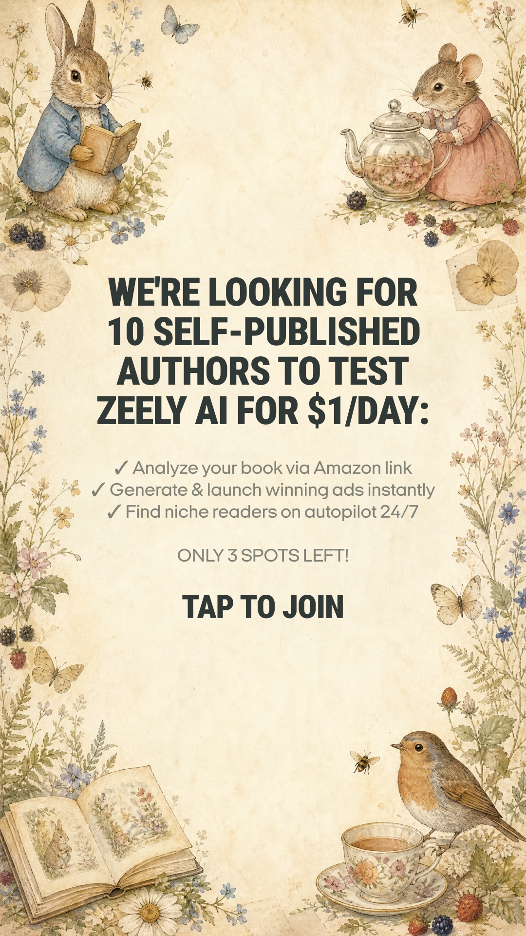 Zeely Facebook ad