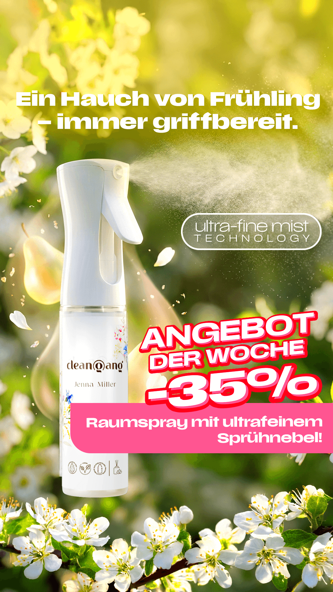 cleangang Facebook ad