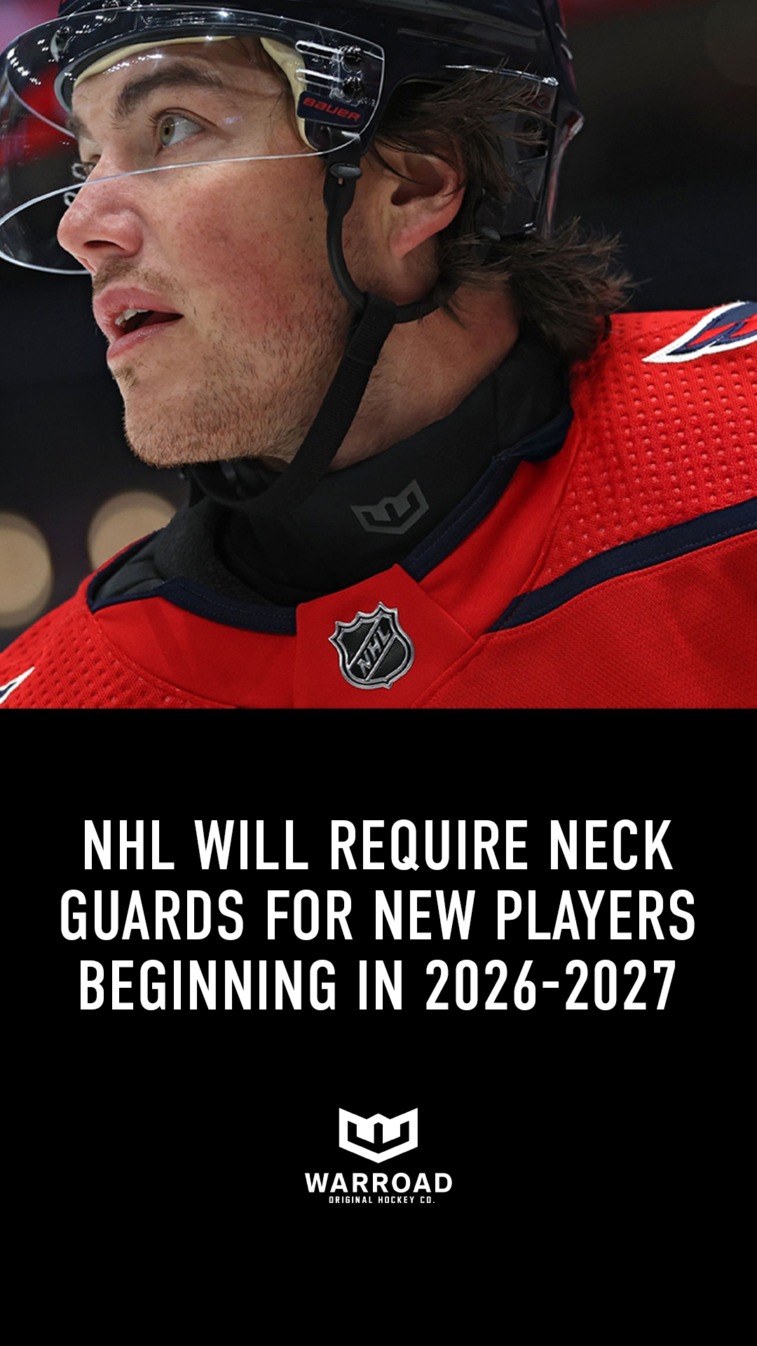 Warroad Hockey Co. Facebook ad