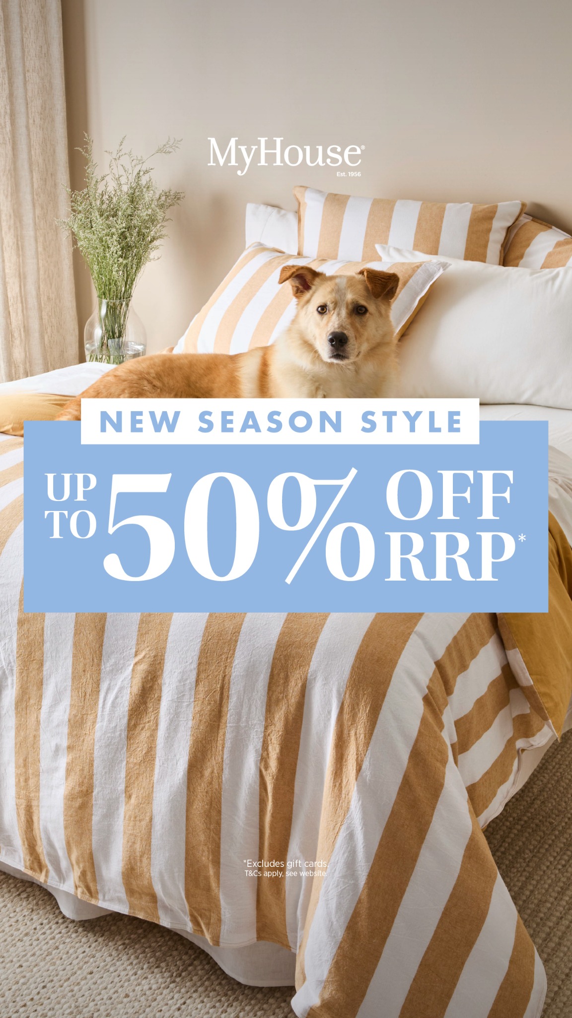 MyHouse Facebook ad