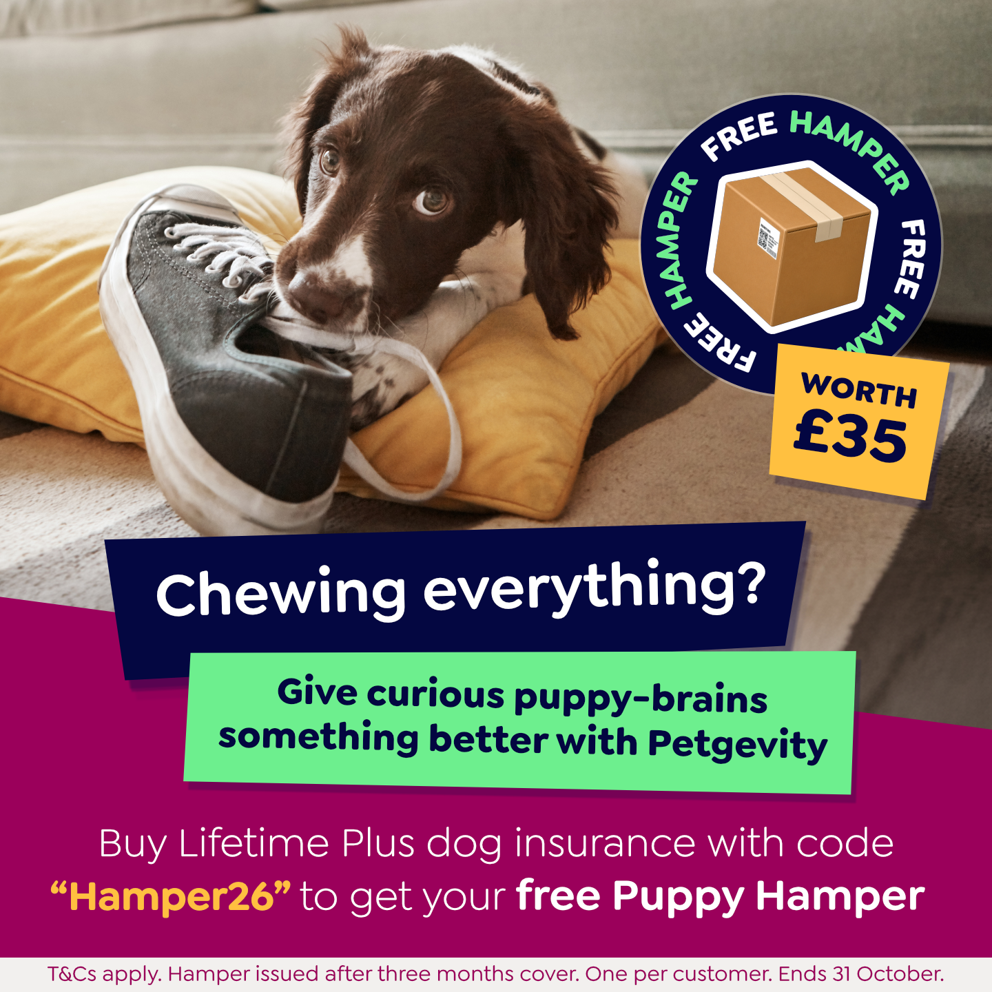 Petgevity UK Facebook ad: The right treat with the right cover