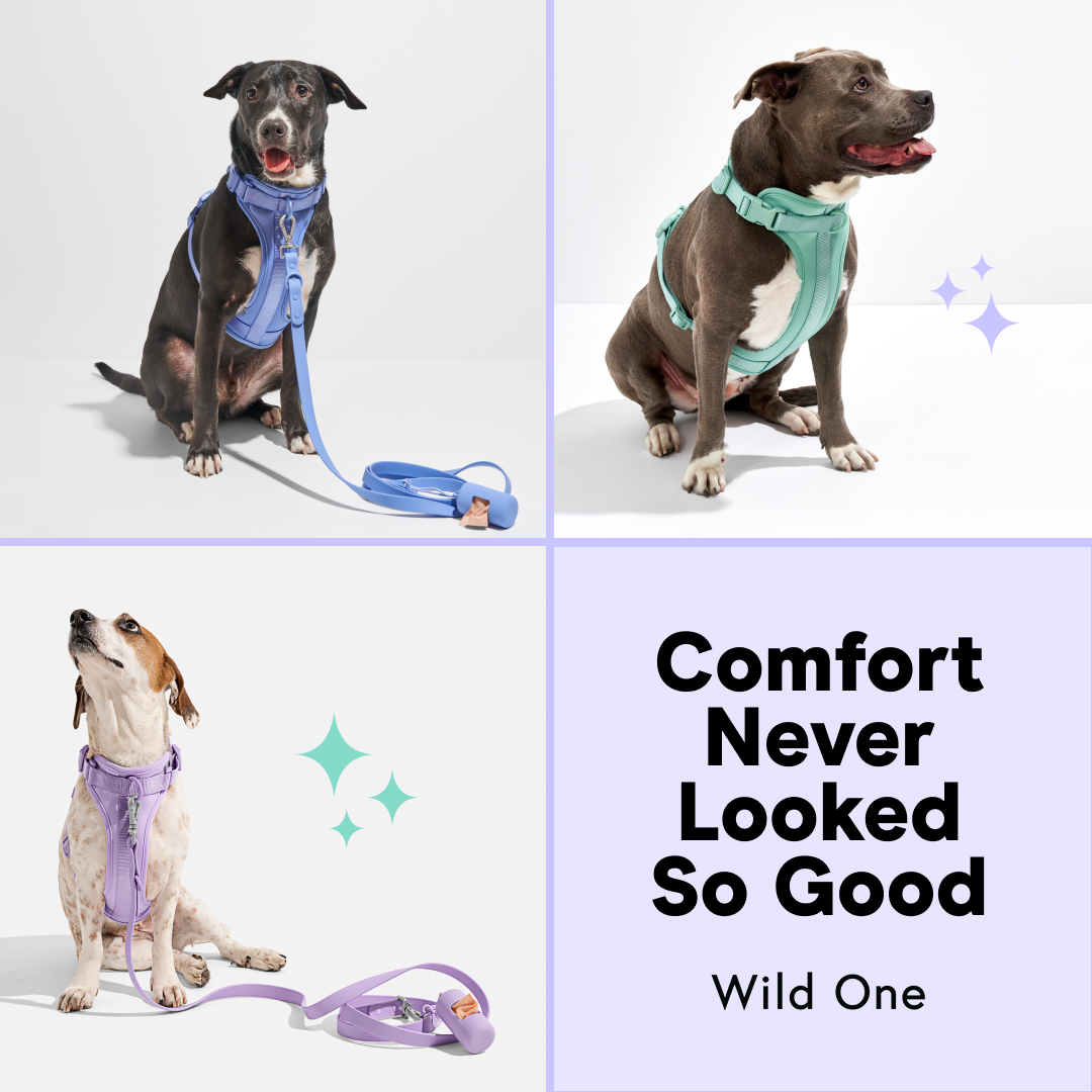 Wild One Facebook ad