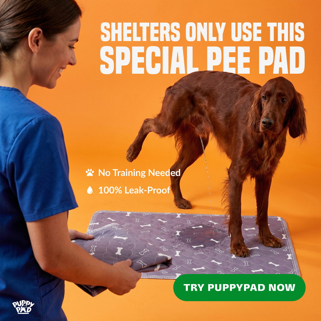 PuppyPad Facebook ad