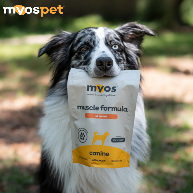 Myos Pet Products Facebook ad