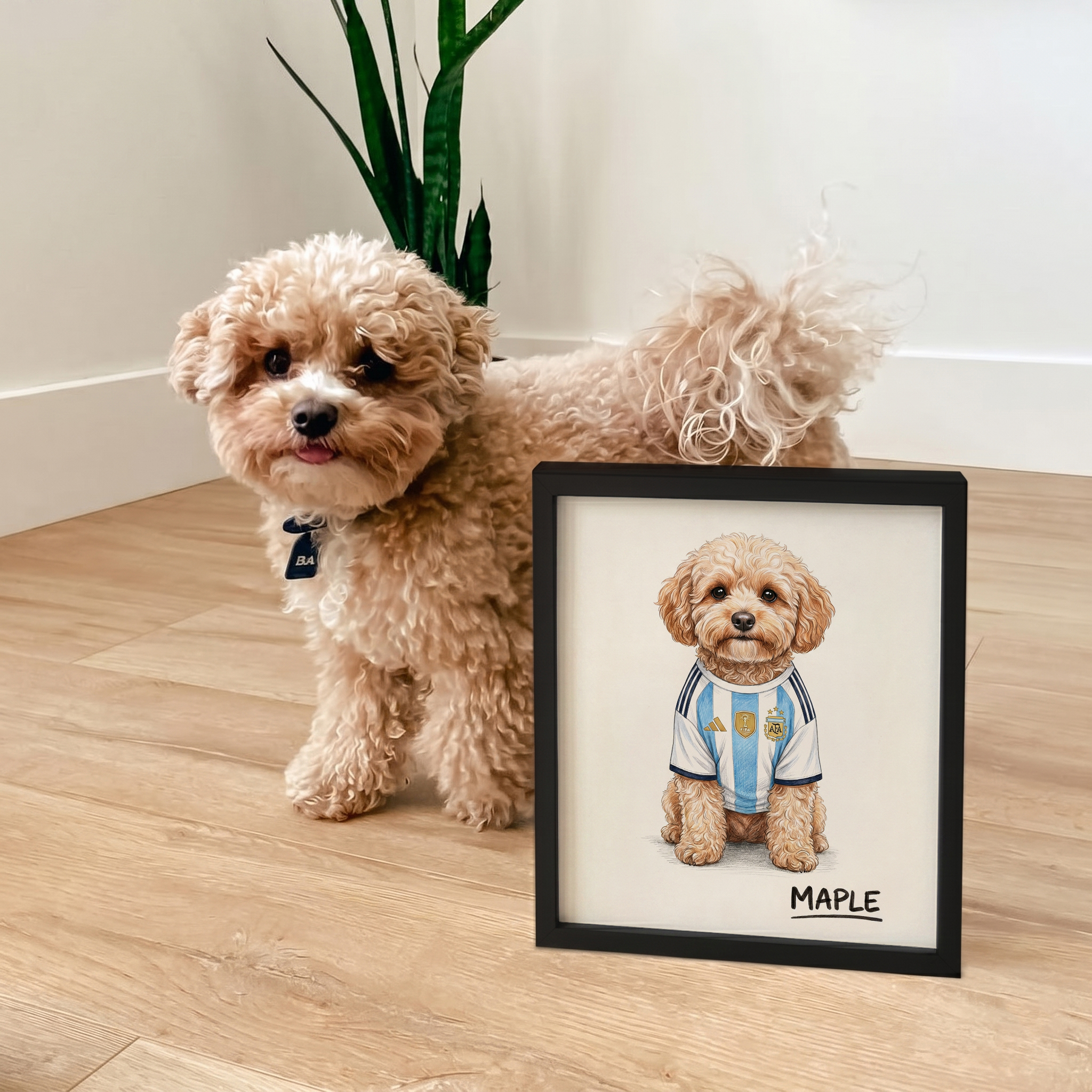 Crown & Paw Facebook ad
