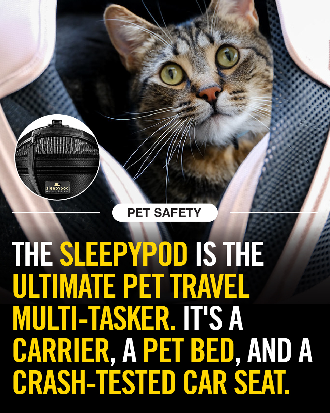 Sleepypod Facebook ad: Sleepypod - 100% survival rate since 2008