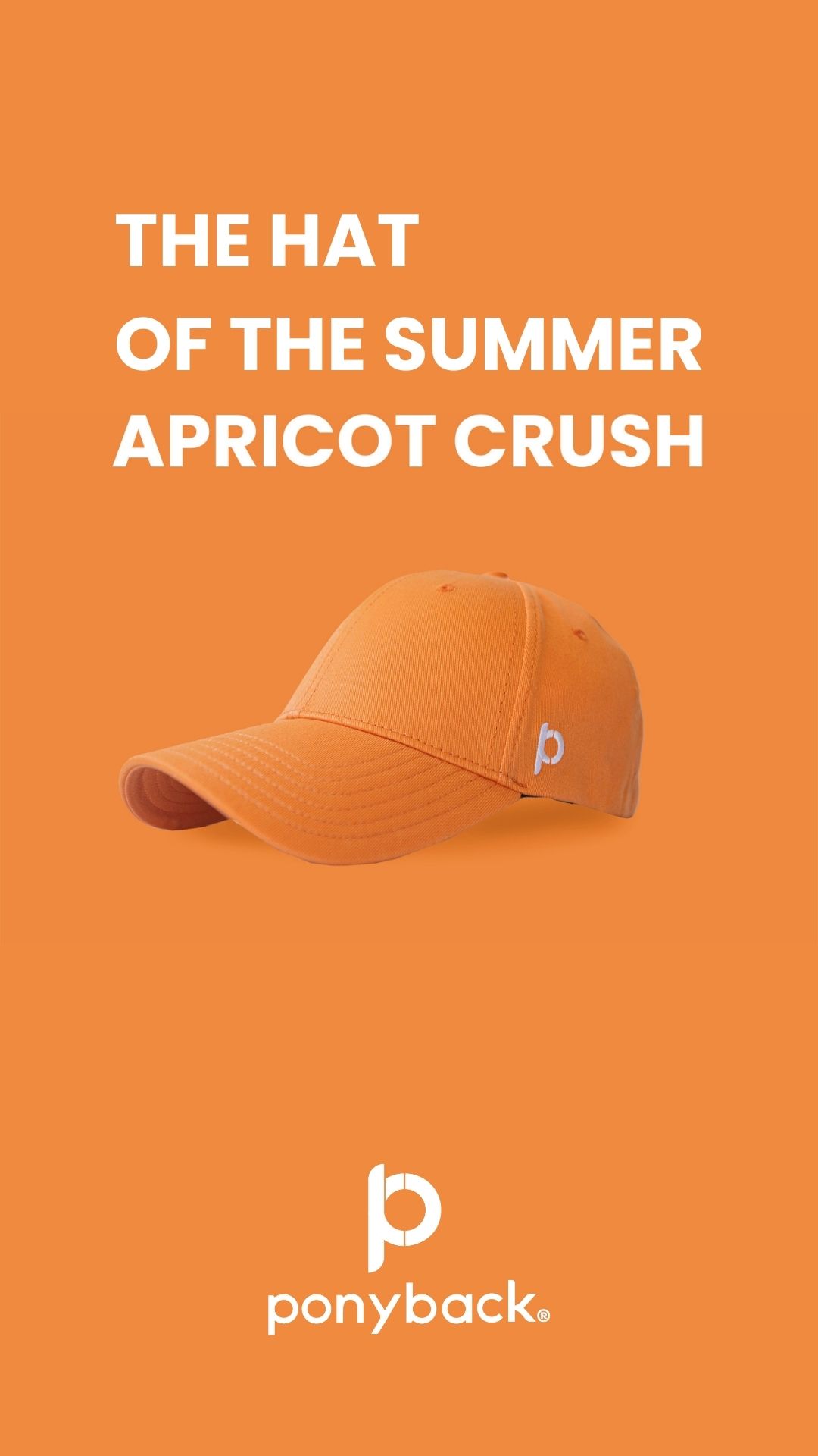 Ponyback Facebook ad