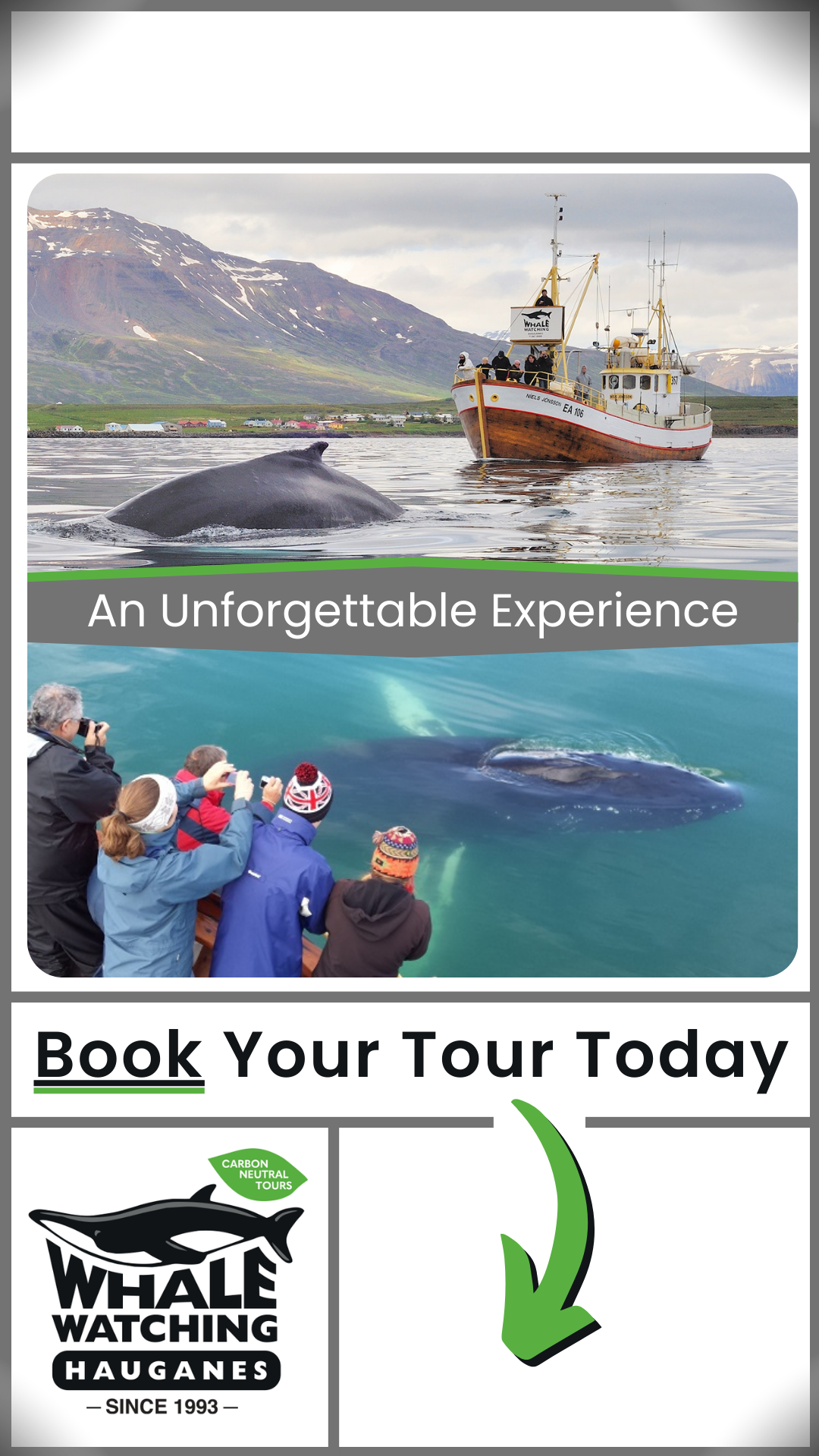 Whale Watching Hauganes Facebook ad from Apr 29, 2024